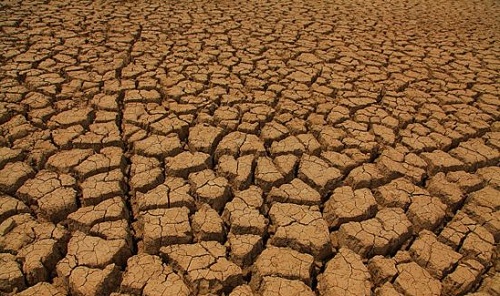 1592385630886798.jpg 13.jpg